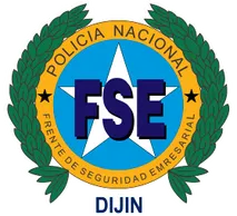 FSE 2